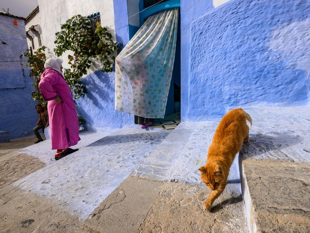 28 38 Chefchaouen 8